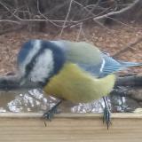 photo 2021-11-10 10-07-19 kekcinege