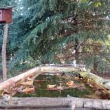 photo 2023-10-07 08-28-05