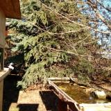 photo 2021-12-13 13-02-25