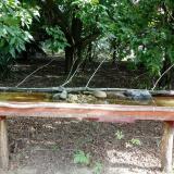 photo 2021-07-26 08-46-47