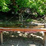 photo 2021-05-08 11-08-12