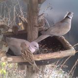 photo 2019-12-29 13-02-49