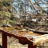 photo 2022-03-14 12-23-12