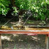 photo 2021-05-12 09-50-01