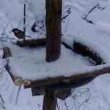 photo 2019-01-05 15-11-30