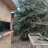 photo 2022-01-08 10-31-09