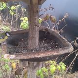 photo 2019-12-12 13-03-17