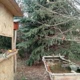 photo 2021-12-26 11-17-23