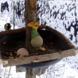 photo 2019-01-20 08-16-35