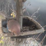 photo 2019-12-29 08-19-07