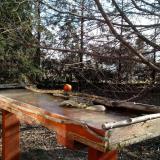 photo 2022-03-12 08-33-59