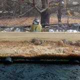 photo 2021-11-10 10-03-41