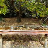 photo 2021-10-13 12-09-51