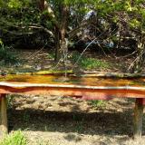 photo 2021-04-21 12-50-53