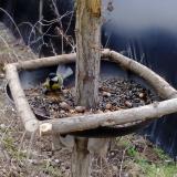 photo 2019-01-03 11-57-47