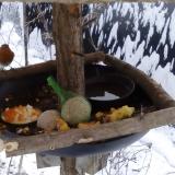 photo 2019-01-22 08-30-29