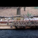 photo 2021-11-26 09-56-35