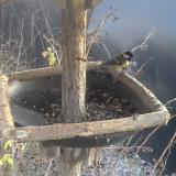 photo 2019-12-29 14-04-21