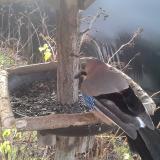 photo 2019-12-25 09-14-17