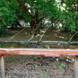 photo 2021-07-03 13-28-53