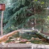 photo 2023-10-02 09-03-29