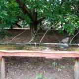 photo 2021-08-03 16-45-40