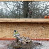 photo 2022-01-20 10-28-34