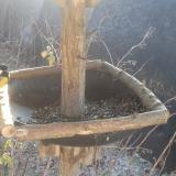 photo 2019-12-30 11-00-47