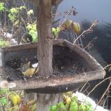 photo 2019-12-02 10-49-18