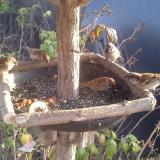 photo 2019-12-08 14-01-32