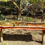 photo 2021-04-12 09-53-04