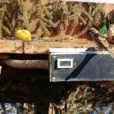 photo 2021-02-13 12-07-50