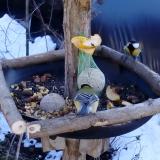 photo 2019-01-14 12-46-04