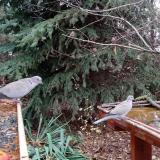 photo 2021-11-13 12-50-28