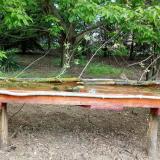 photo 2021-05-01 10-17-12