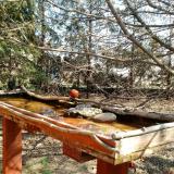 photo 2022-03-26 10-29-38