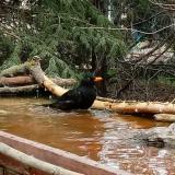 photo 2022-03-30 14-40-18 rigo