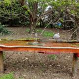 photo 2021-04-18 10-29-53