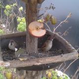 photo 2019-12-05 08-19-20