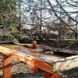 photo 2022-03-14 08-35-33