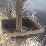 photo 2019-12-29 13-16-01