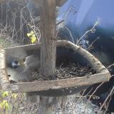 photo 2019-12-27 09-35-34