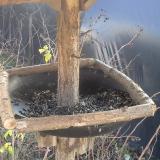 photo 2019-12-26 12-29-00