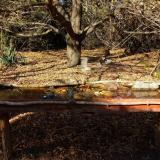 photo 2021-10-25 14-27-22