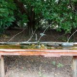 photo 2021-08-23 12-30-37