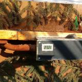 photo 2021-02-21 14-52-35