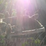 photo 2019-12-15 09-35-02