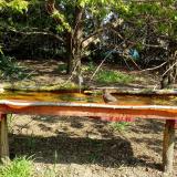 photo 2021-04-22 10-03-29