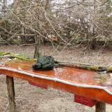 photo 2021-03-25 09-36-31