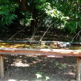 photo 2021-07-24 09-59-53